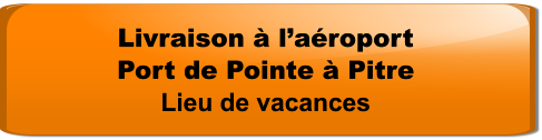 Livraison à l’aéroport Port de Pointe à Pitre Lieu de vacances