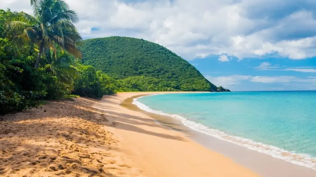Plage de sable doré au pied d’un morne couvert de forêt, en Guadeloupe